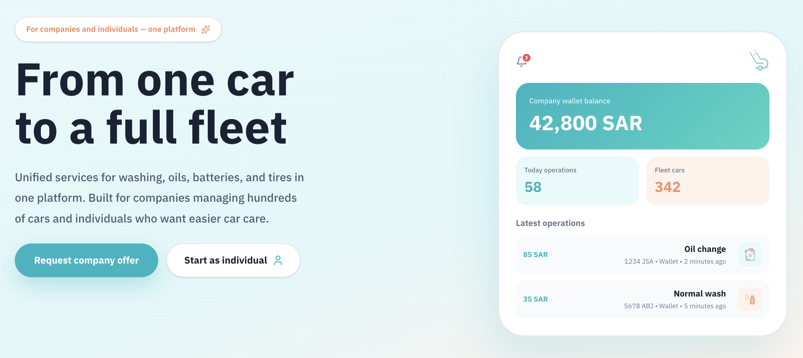 Bright Washing landing page preview